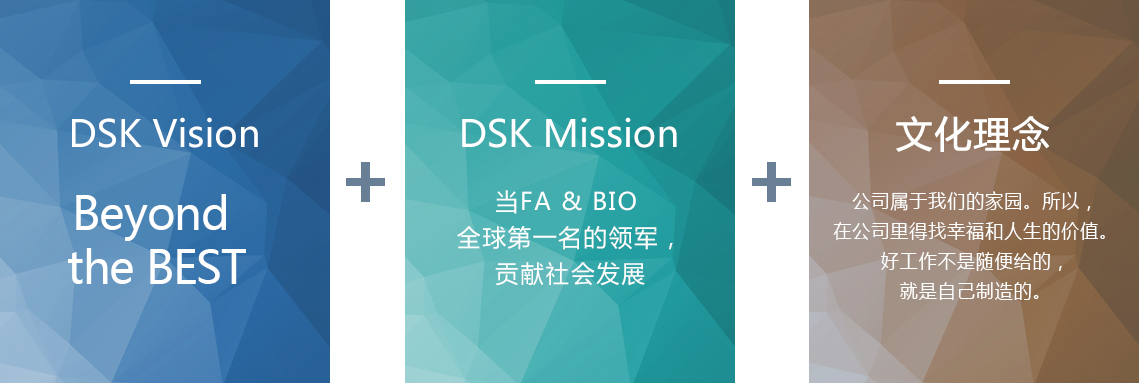 DSK 前途 & 使命 & 文化理念